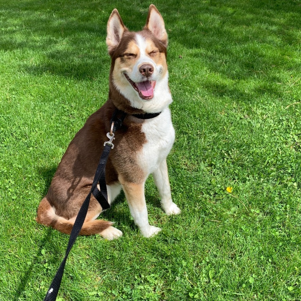 Meet your Posher, Alfonso